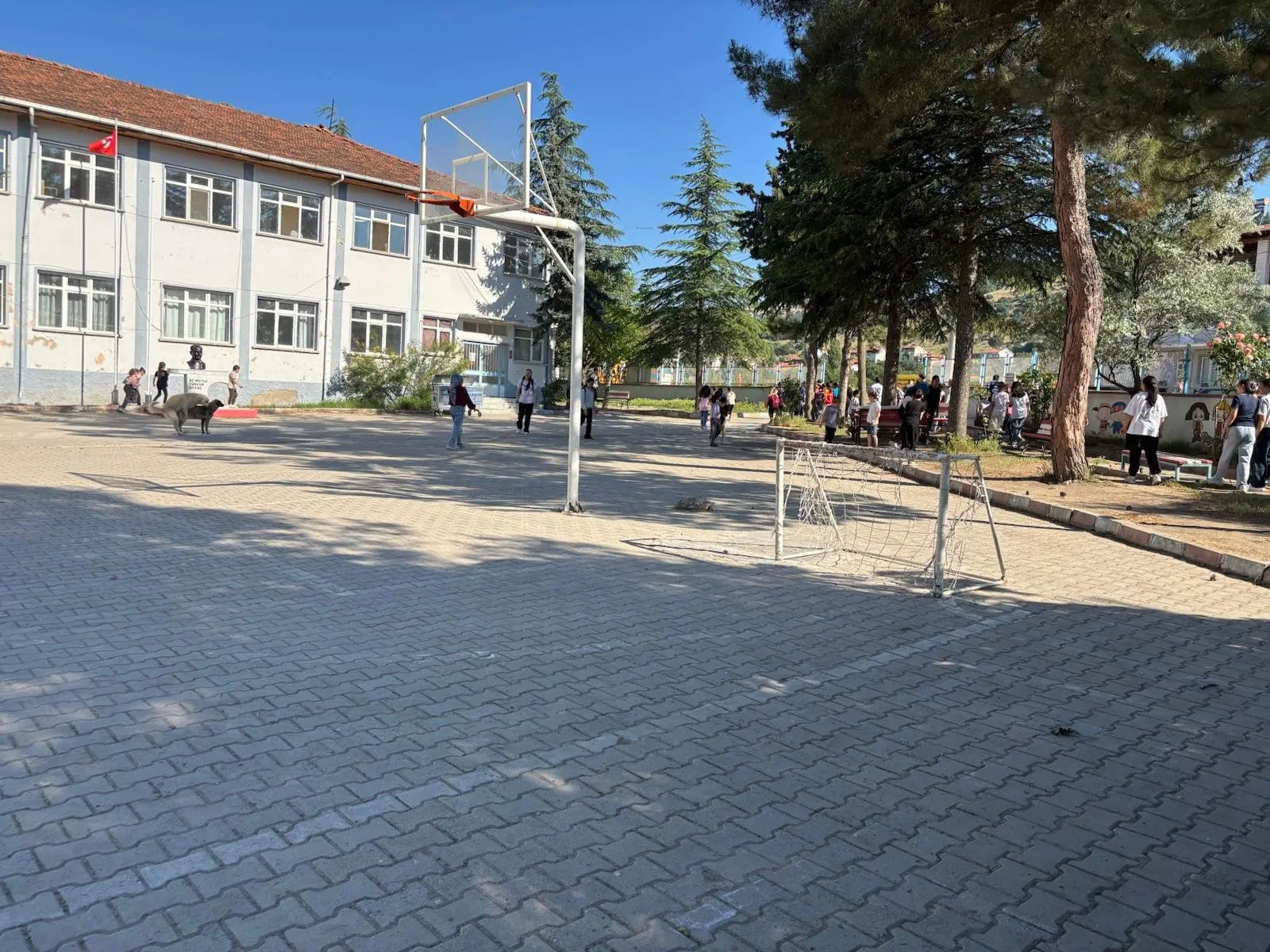 Kurum Kapak Görseli